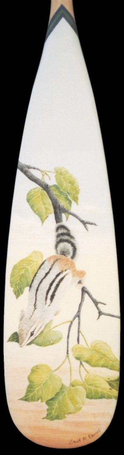 Chipmunk Paddle - click for enlargement