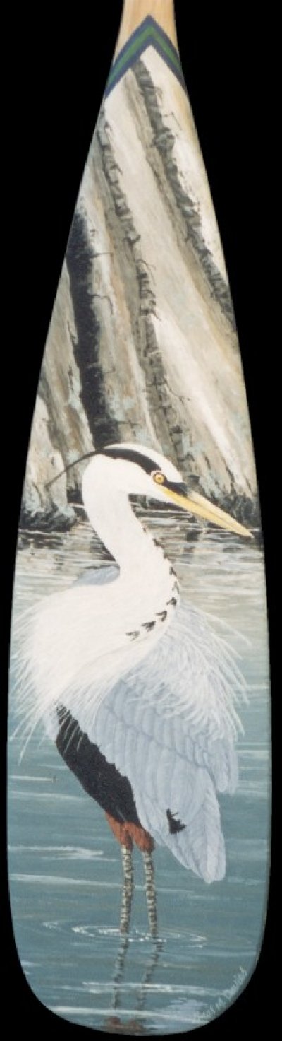Great Blue Heron Paddle - click for enlargement