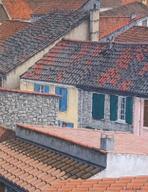 New and Old Roofs of Arles - click to enlarge