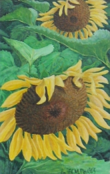 Sunflowers #2 - click to enlarge